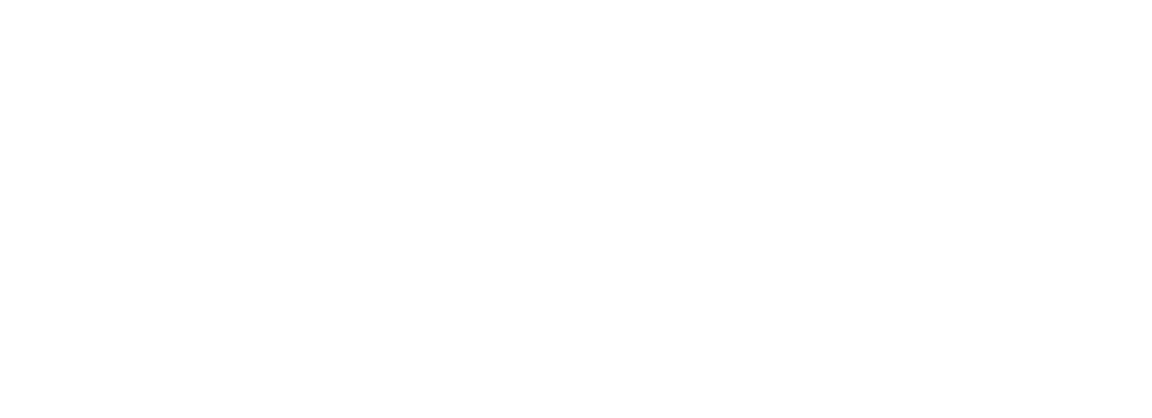University of Essex Logo